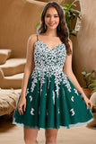 Maureen A-line V-Neck Short/Mini Lace Tulle Homecoming Dress STKP0020468