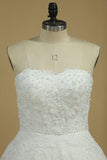 2024 Tulle Sweetheart Wedding Dresses A Line With Applique P79N8NBR
