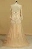 2024 Prom Dresses V Neck Long Sleeves Sweep Train Tulle P94PXR9A