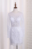 2024 Scoop Long Sleeves Wedding Dresses Tulle & Organza With Applique PGNQDBY7