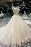 2024 Wedding Dresses Lace Up High Quality PSM5MT7L