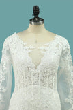 2024 Elegant Mermaid Wedding Dresses Scoop Tulle With Appliques Long Sleeves PBQNDAL2