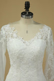 2024 Long Sleeves V Neck Mermaid Wedding Dresses Tulle With Applique PAY8RKKR