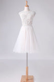 2024 Homecoming Dresses Scoop Short/Mini A Line Tulle With Applique And PF1GEB4Z
