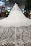 2024 Ball Gown Lace Up Back Cathedral Train Wedding P7T913ZR