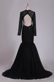 2024 Sexy Open Back Scoop Mermaid Evening Dresses Long Sleeves Tulle PL5ZAFG9