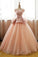 Vintage Pink Flower Long Sleeves Puffy Tulle Long Quinceanera Dress Prom Dresses
