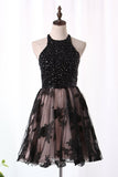 2024 A Line Homecoming Dresses Scoop Tulle With Beads And PPN3TS7Q