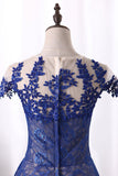 2024 Dark Royal Blue Evening Dress Scoop Cap Sleeves See-Through Lace With Applique PTX68JQ9