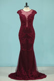 2024 Scoop Mother Of The Bride Dresses Tulle PZD7DBZT