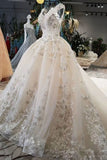2024 Champagne Wedding Gown V Neck Royal Train Handmade Beading Lace P8D2ABGJ