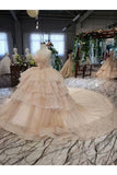 Ball Gown Wedding Dresses Strapless Top Quality Appliques PB8G3TA2