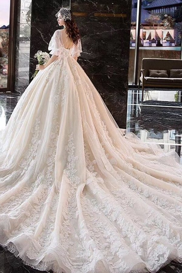 2024 Ball Gown Wedding Dresses V Neck Half Sleeves Appliques Lace PTR6NRX5