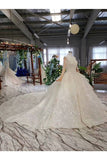 Ball Gown Wedding Dresses Scoop Long Sleeves Top Quality Appliques PP3D3NQ3