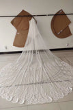 3M Long Tulle Appliques Wedding Veils STK14989