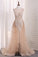 2024 Sexy See-Through Sheath Scoop Prom Dresses Tulle With PN43216M