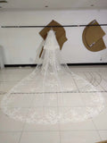3M Long Embroidered Lace Appliques Tulle Cathedral Veil for Wedding, Wedding Veils STK14988