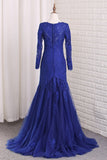 2024 V Neck Long Sleeves Tulle Prom Dresses With PLB17NKB