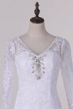 2024 V-Neck 3/4 Length Sleeve Wedding Dresses Mermaid Tulle With Beads And Applique PZNLFRB8