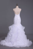 2024 V Neck Tulle With Applique And Beads Court Train PSLHF3ML