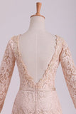 2024 Long Sleeves Wedding Dresses Scoop Lace With Sash Sweep Train PHYPX92N