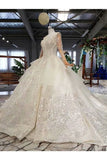 Ball Gown Wedding Dresses Scoop Long Sleeves Top Quality Appliques PP3D3NQ3