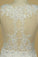 2024 V Neck Prom Dresses Mermaid Lace With Applique P1TJ8GAA
