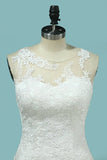 2024 Scoop Lace With Applique Wedding Dresses PSCD5SSR