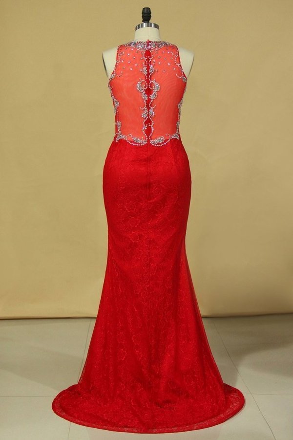 2022 Red Plus Size Prom Dresses Scoop Beaded Bodice Sweep Train P718ALTZ