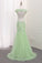 2024 Tulle Scoop Mermaid Open Back Prom Dresses With P7ZTP632