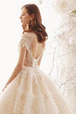 2024 Ball Gown Wedding Dresses High Neck Top Quality Tulle Lace PCG4221E