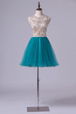 2024 Scoop A Line Tulle Short/Mini Homecoming P37351AJ