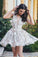 Chic Lace Appliques Short Mini Homecoming Dresses Princess See Through Party Dress