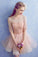 Cute A Line Half Sleeve Pink Round Neck Tulle Homecoming Dresses with Lace Prom Dress