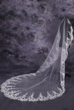 Gorgeous One-Tier Cathedral Bridal Veils With Applique