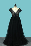 2024 V Neck Short Sleeves A Line Evening Dresses Tulle & Lace PPG7LZ27