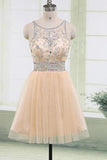 2024 New Arrival Scoop Neck A Line Tulle Homecoming Dresses PYMMLBQS