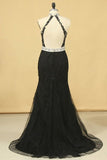 2024 Black Plus Size Prom Dresses Mermaid High Neck Open Back Tulle With Applique & PT9X5LZC