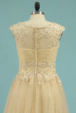 2024 A Line Scoop Mother Of The Bride Dresses Tulle With Applique PCMYX6GD