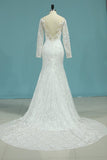 2024 Wedding Dresses Mermaid V Neck With Applique Lace PYK2YTMS