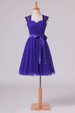 2024 Homecoming Dresses Off The Shoulder Dark Royal Blue Tulle & Lace A P8MSAT56
