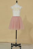 2024 Tulle High Neck With Applique Homecoming Dresses PE42TK72