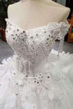 2024 Wedding Dresses Off The Shoulder Ball Gown Tulle Lace Up With Appliques And PNPZNB8X