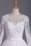 2024 Long Sleeves Scoop Ball Gown Wedding Dresses Tulle With Applique And P699N7GH