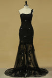 2024 Sheath/Column One Shoulder Evening Dress With Applique PNTZY1X4
