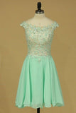 2024 Homecoming Dresses A Line Scoop Chiffon With Applique And PN58T4F2