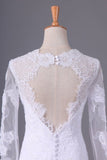 2024 Long Sleeves V Neck Open Back Wedding Dresses Tulle With Applique P8NQRK14