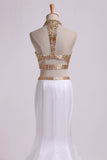 2024 Two Pieces Beaded Bodice High Neck Prom Dresses Trumpet PB2RMCXN