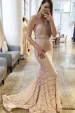Gorgeous Lace Sexy Blush Pink Sweetheart Mermaid Charming Lace Prom Dresses