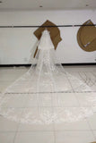 3M Long Embroidered Lace Appliques Tulle Cathedral Veil for Wedding, Wedding Veils STK14988